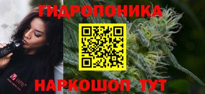 apvp Новодвинск